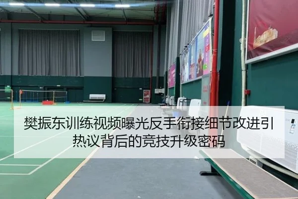 樊振东训练视频曝光反手衔接细节改进引热议背后的竞技升级密码